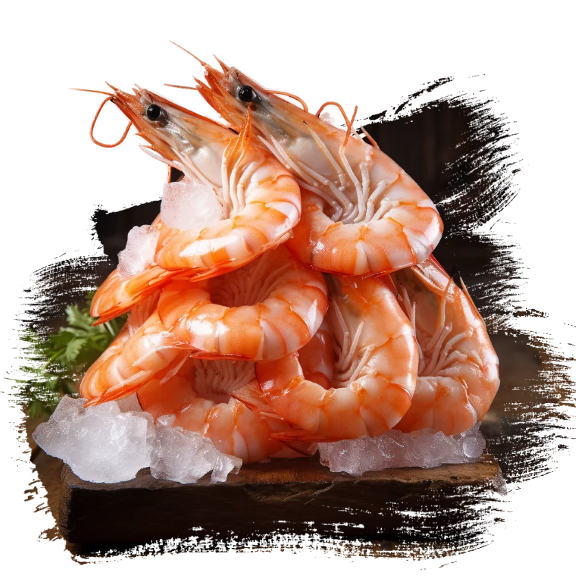 Shrimp with garnish